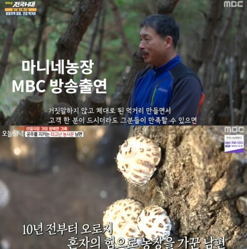 오늘N 가족이 뭐길래 솔향 가득 자연이 키운 마니네농장 유기농표고버섯