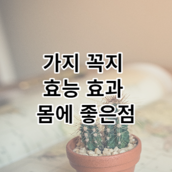 가지 꼭지 효능 효과 몸에 좋은점
