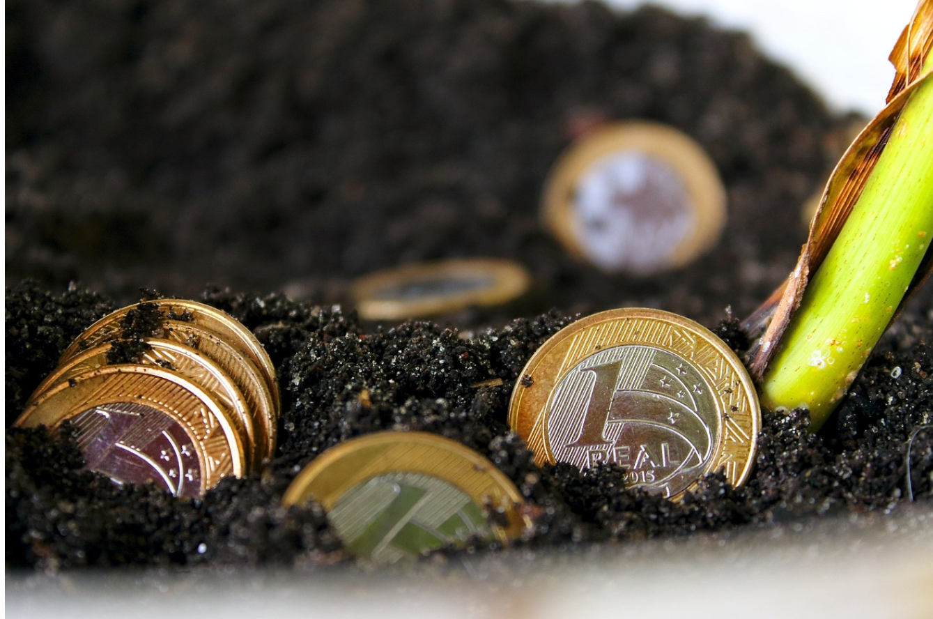 IMF, 세계은행, BIS의 역할과 기능