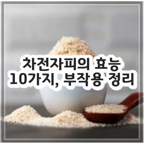 차전자피의 효능 10가지, 부작용 정리