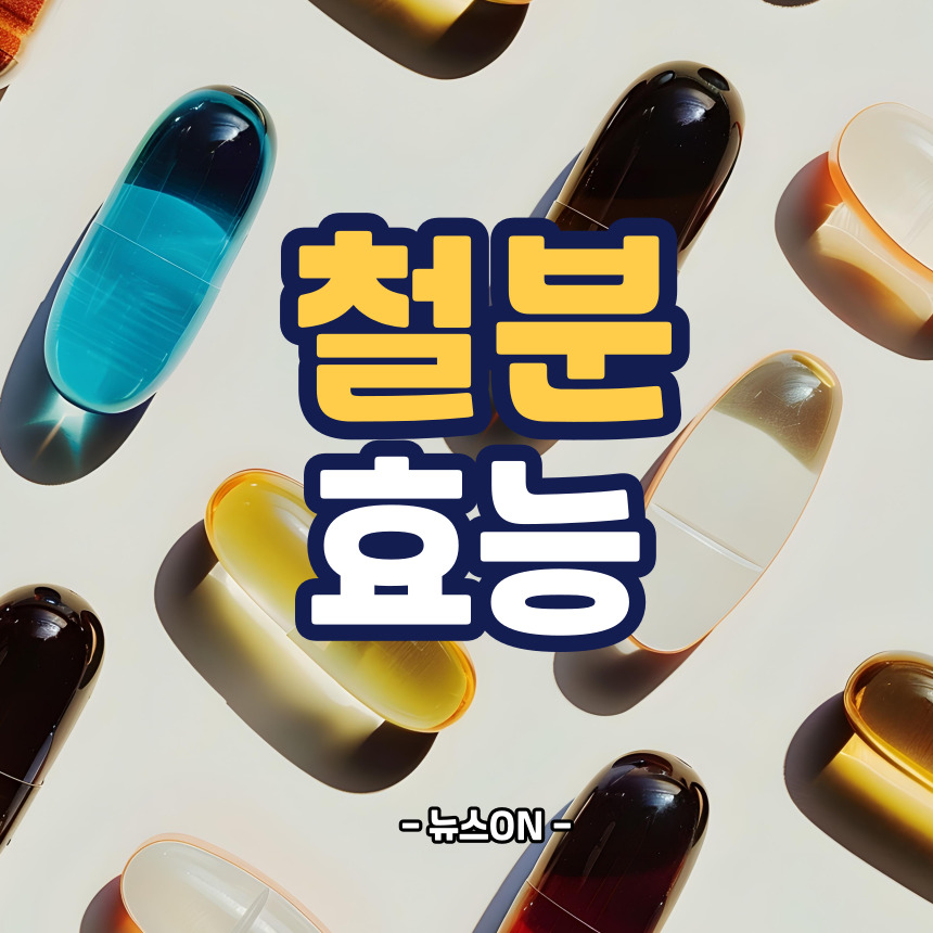 철분 효능