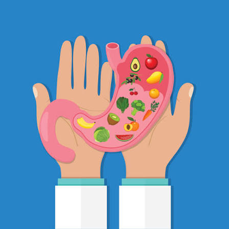 음식 섭취와 배설 : 더 중요한 것은?
