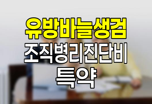 KB손보 유방바늘생검조직병리진단비 특약 심층 분석