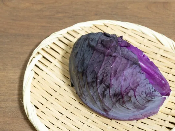 적양배추 안토시아닌 성분