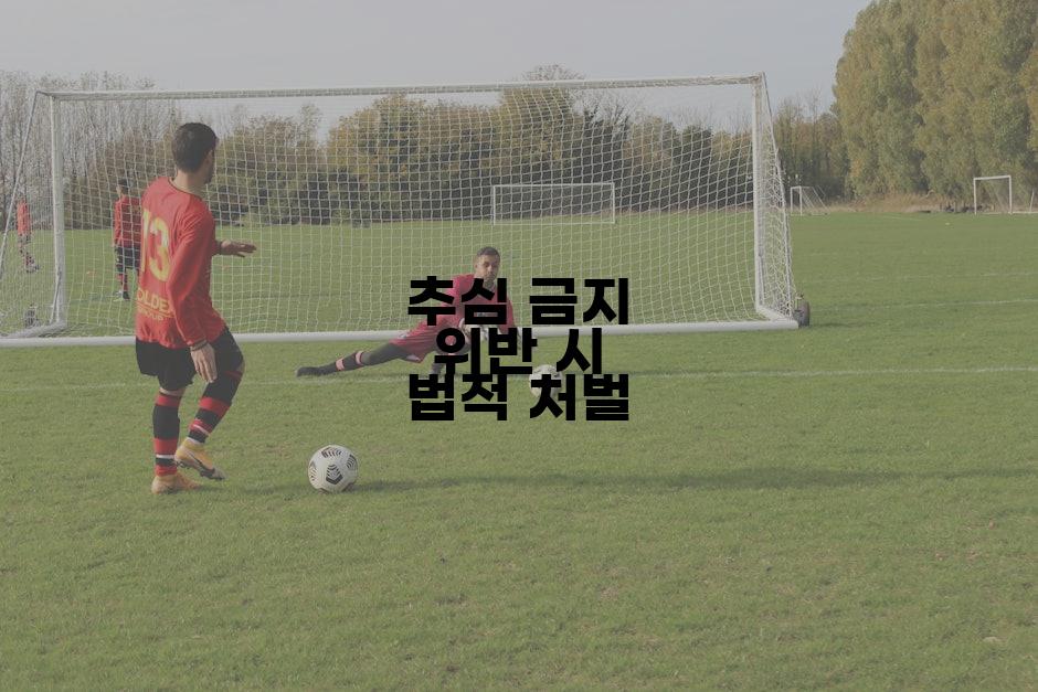 추심 금지 위반 시 법적 처벌