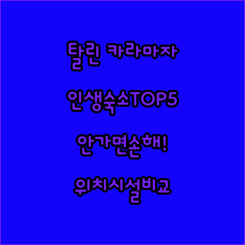 에스토니아 탈린 카라마자 숙소 추천 ..