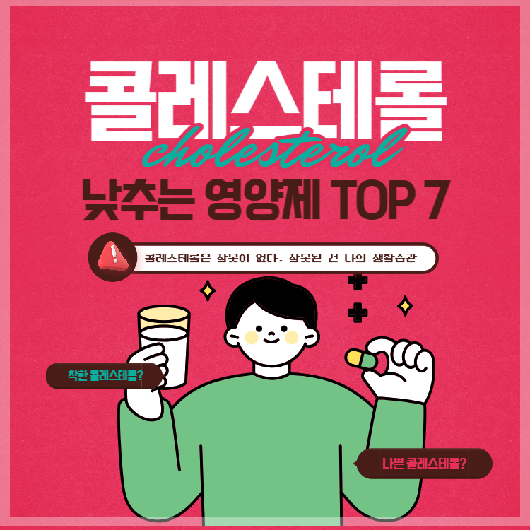 콜레스테롤 낮추는 영양제 TOP 7
