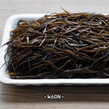 모자반 효능