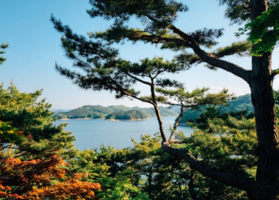 대청호 풍광 사진