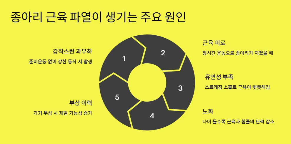 종아리-근육파열-주요원인