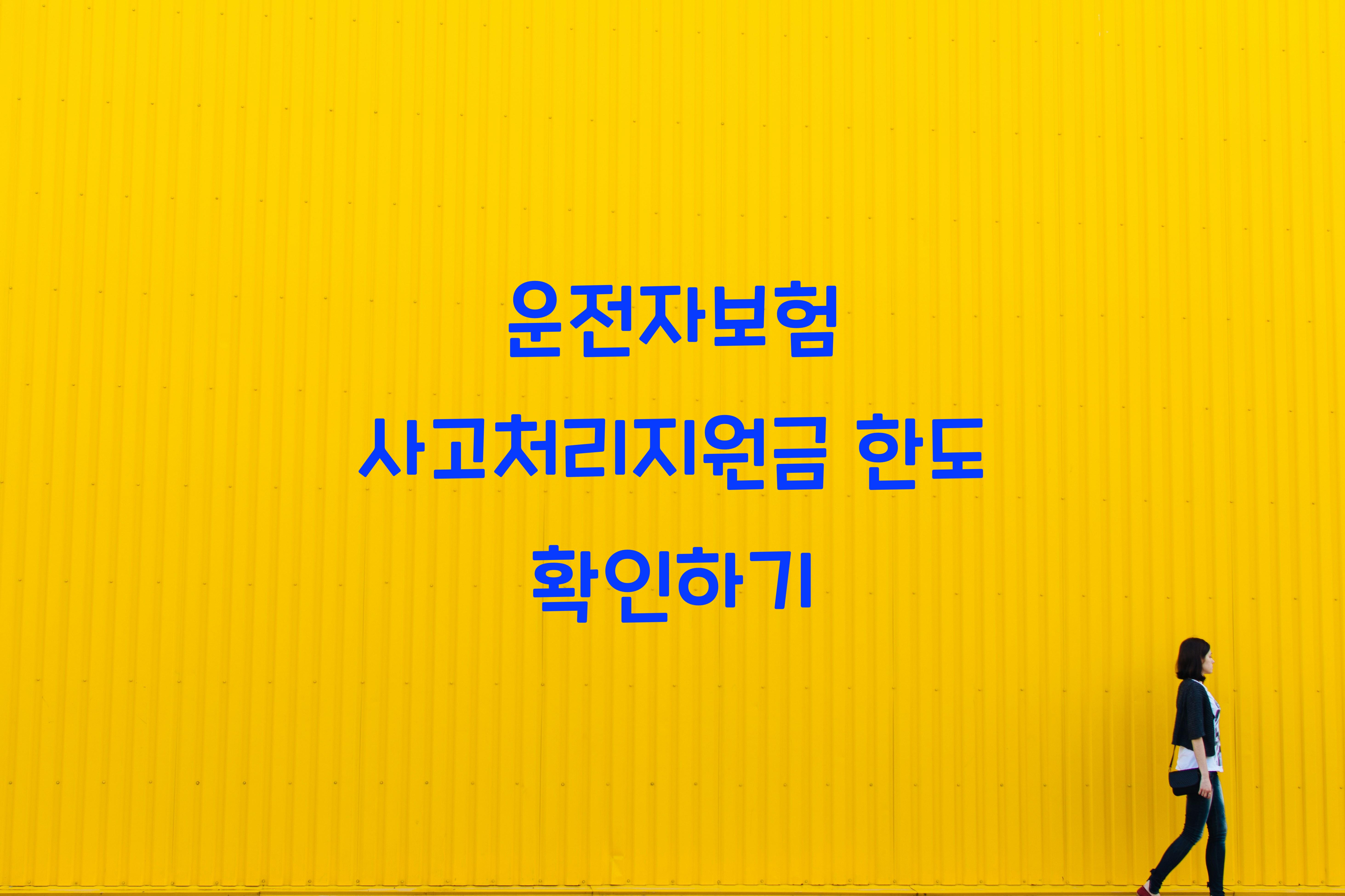 운전자보험 사고처리지원금 한도