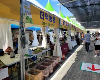 홍천 찰옥수수 축제 프로그램_2