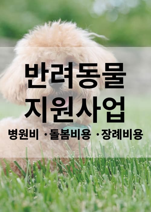 반려동물병원비지원사업과달라진동물보호법