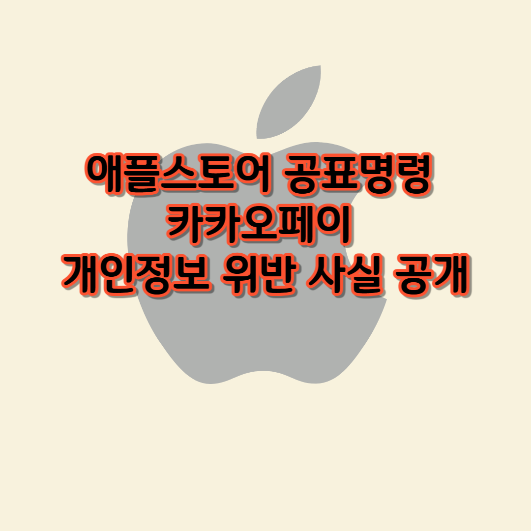 애플스토어 공표명령 ,카카오페이 개인정보 위반 사실 공개