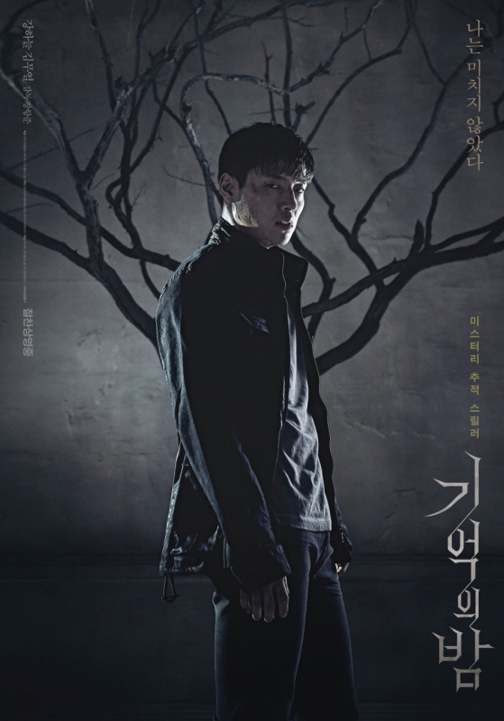 영화 기억의 밤 포스터