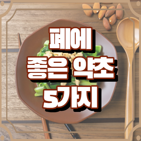 폐에 좋은 약초 5가지