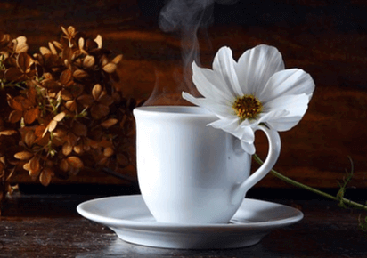 하얀 컵에 따뜻한 물이 있고 하얀 김이 나온다. 컵 위에는 커다란 하얀 꽃이 달려있다.