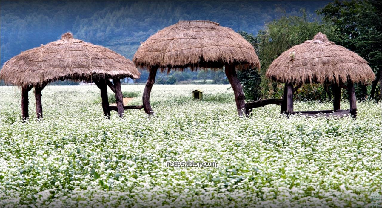 이효석문화예술촌