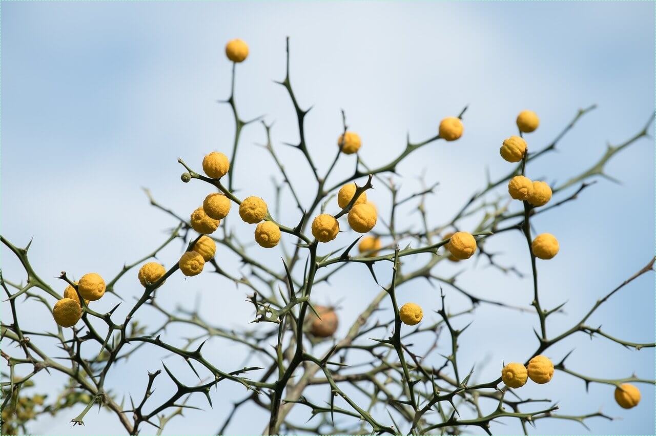 코인노래방 창업비용