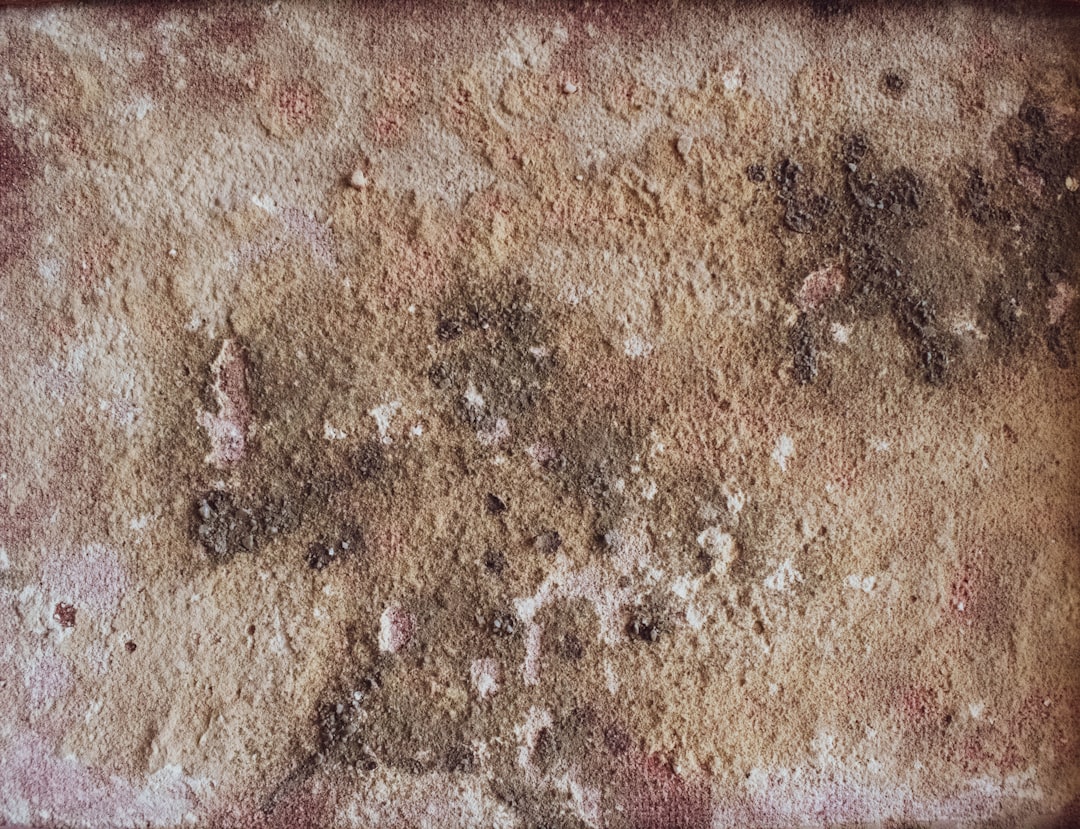 Stain