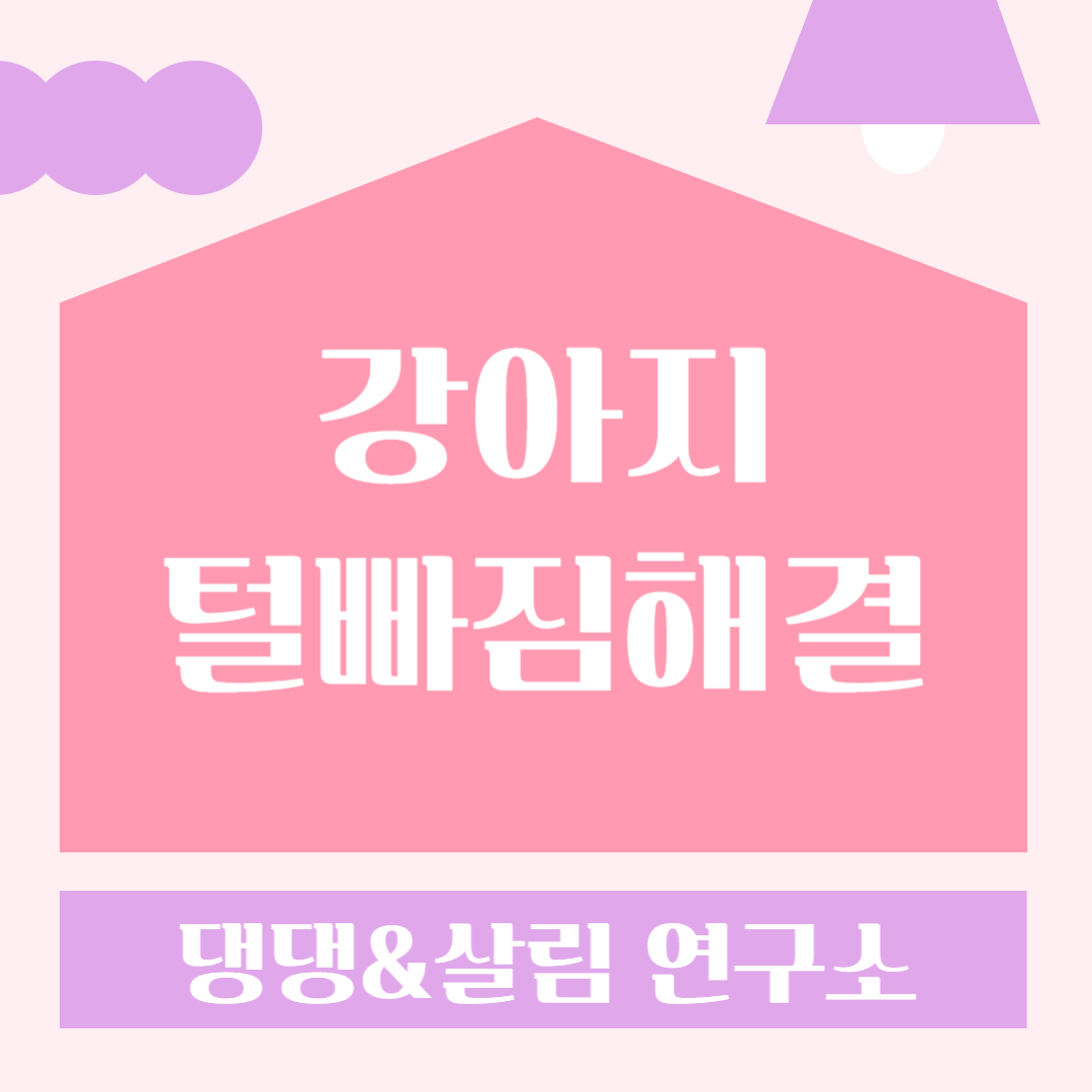 강아지털빠짐