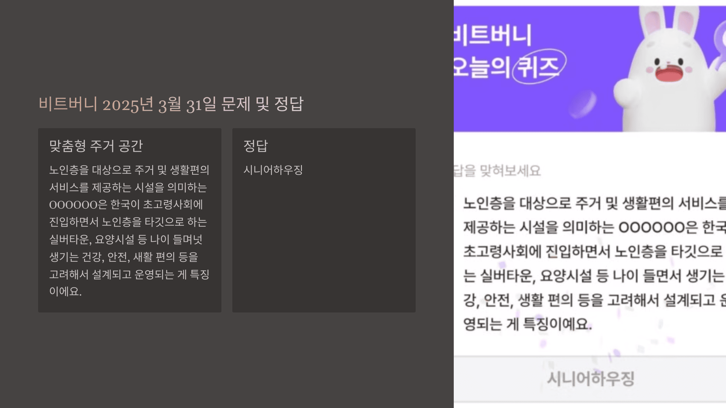 비트버니 2025년 3월 31일 문제 및 정답