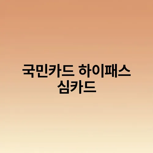 국민카드 하이패스 심카드