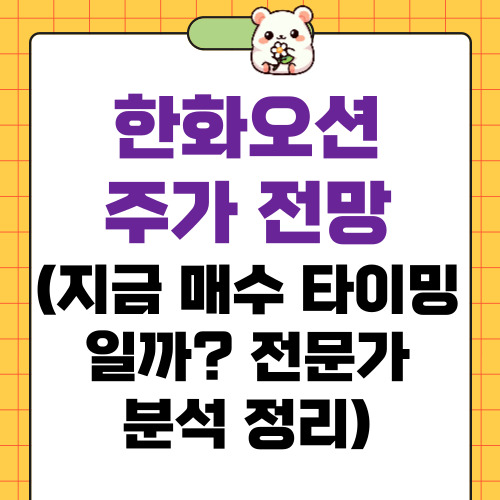 한화오션 주가 전망