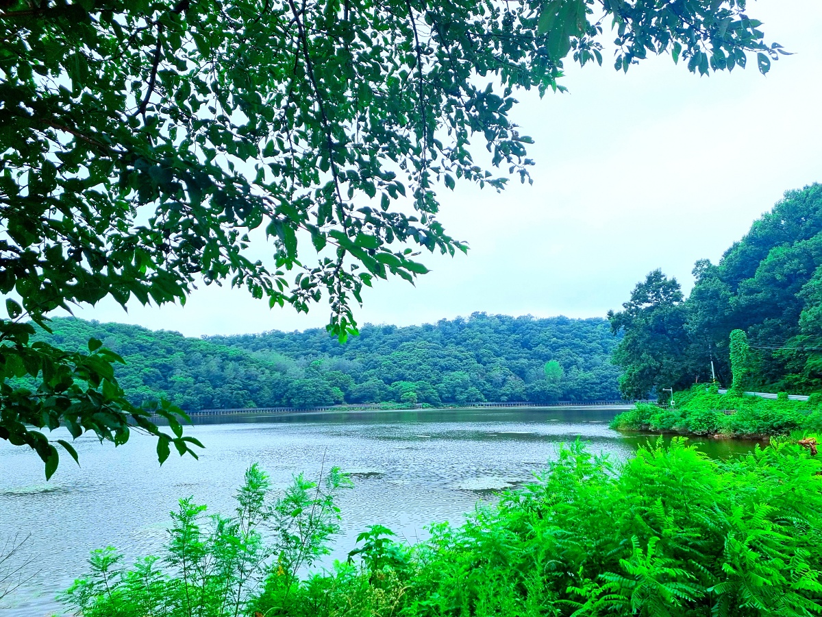 경기도 파주 대형 베이커리 카페, 공릉 저수지 뷰 모쿠슈라 (2호점)