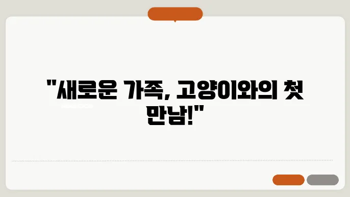 고양이와 함께하는 행복한 순간
