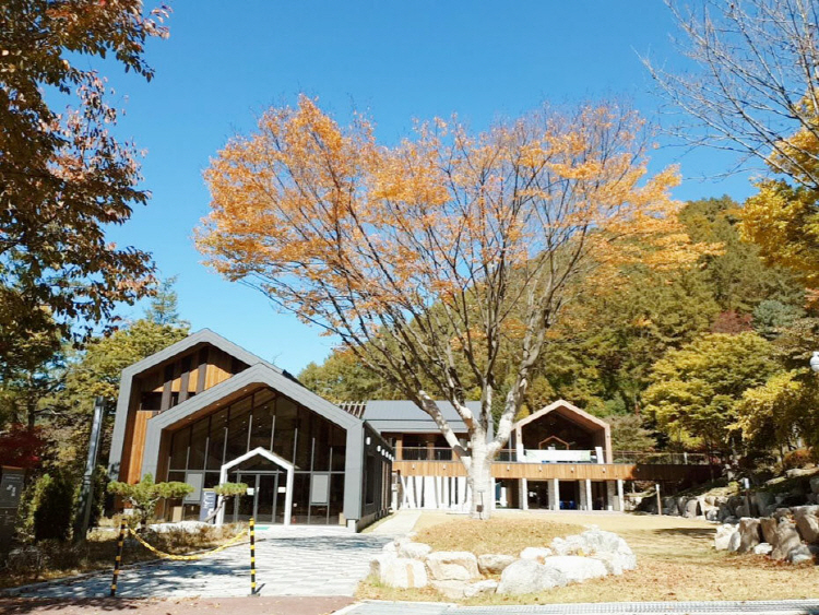 유명산 자연휴양림