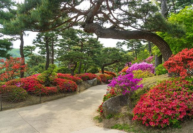 화담숲 사진