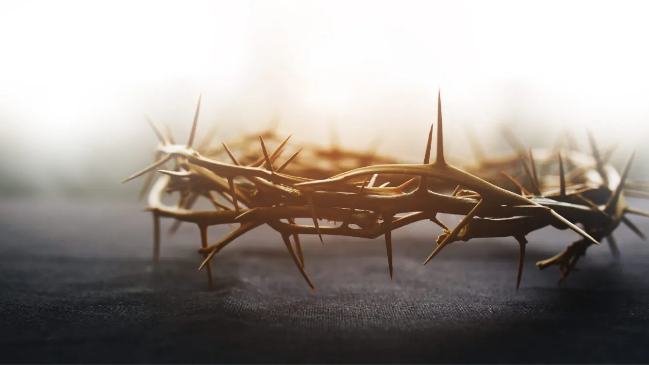 사순절 기간 대표 기도문 모음_4