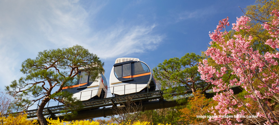 화담숲 예약 & 방문 가이드 ❘ 봄 벚꽃부터 가을 단풍까지 완벽 정리