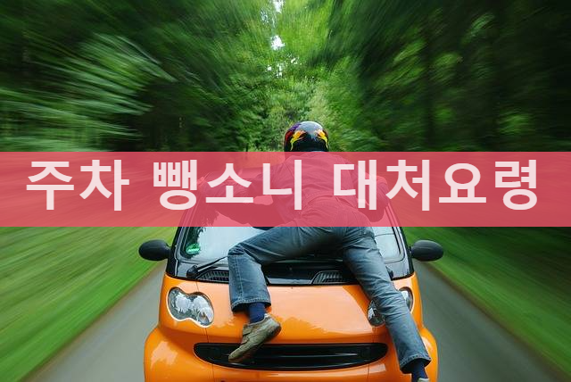 주차 뺑소니