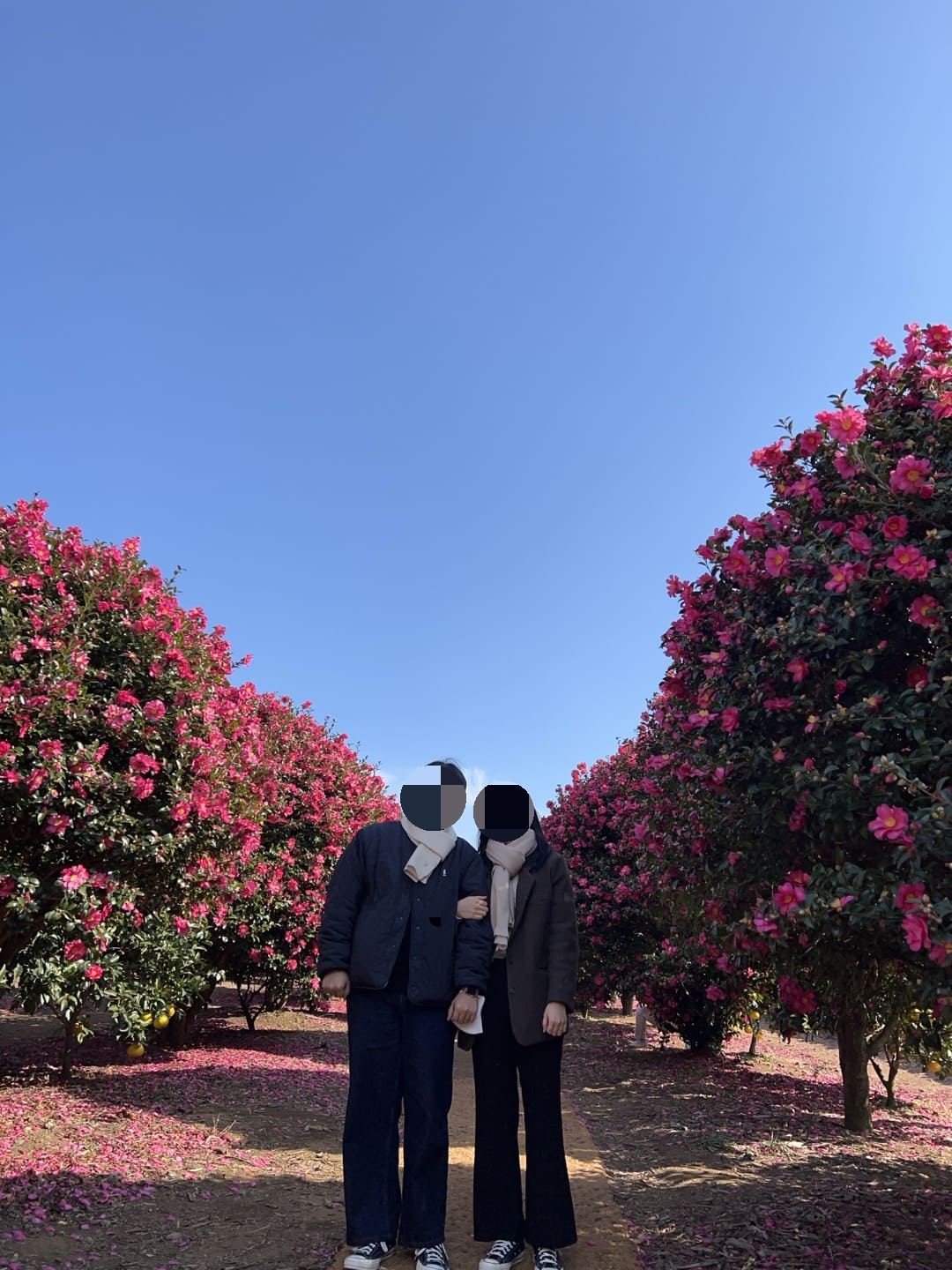 동백포레스트 12월