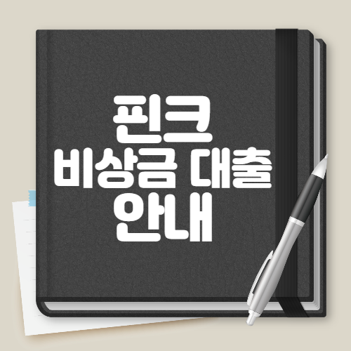 핀크 비상금 대출
