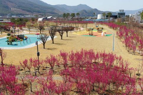 구례 산수유꽃 축제