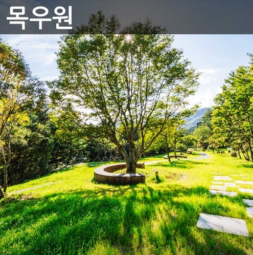 생방송투데이 대관령하늘목장 강원도 평창