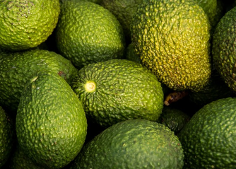 방금 산 아보카도