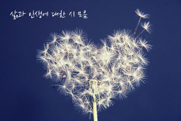 '삶과 인생에 대한 시' 섬네일 이미지