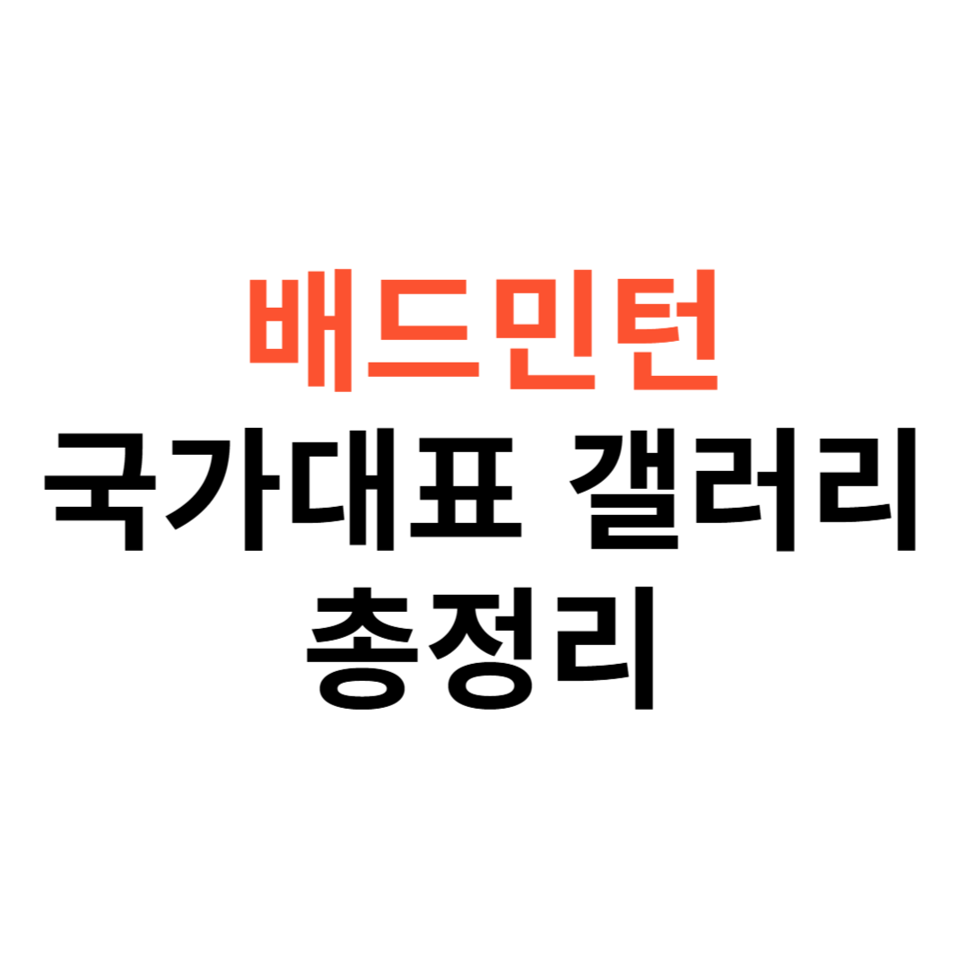 배드민턴 국가대표