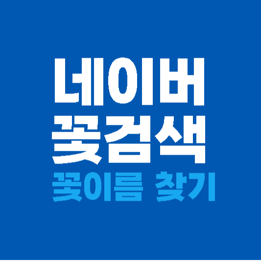 네이버 꽃검색: 꽃이름 찾기