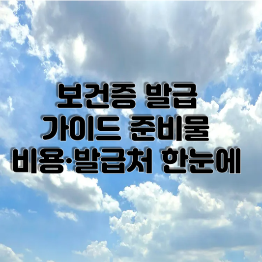 보건증 발급