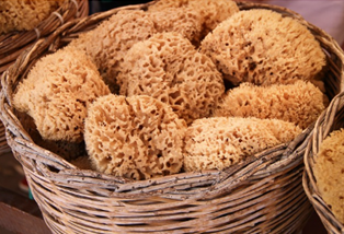 골다공증 예방 및 관리