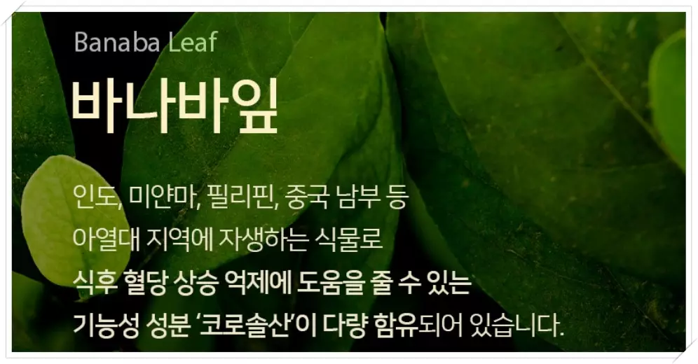 모어트루 당포레 혈당억제 효과