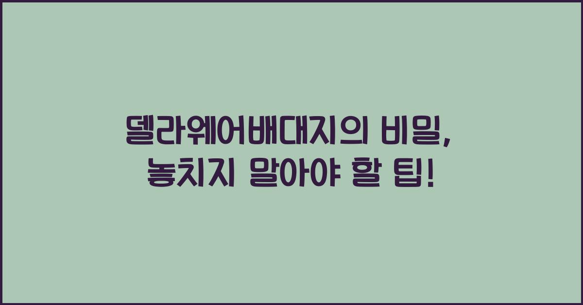 델라웨어배대지