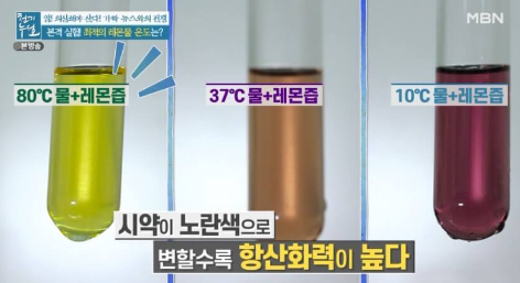 레몬 물 효능