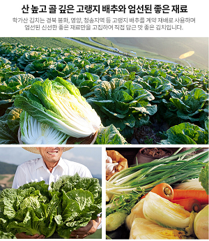 학가산김치-원재료