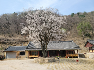 천마산 보광사
